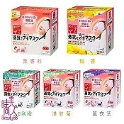 花王 kao SPA蒸氣浴舒緩眼罩 14枚入 共5款任選2盒