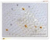 ◎花語人造花資材◎菱角紗網＊金/銀彈性豆豆紗＊豆豆網紗~紗網~頭紗~帽子製作~面紗