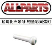 維修升級 Allparts Woolly Mammoth Ivory Bridge Pins 長毛象 化石 象牙 弦釘