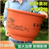 🔥【台灣熱賣】 特大號仿陶瓷加厚樹脂花盆鐵樹果樹種樹花盆養荷花陽台庭院專用盆
