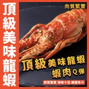 【鮮煮義美食街】頂級美味龍蝦／熟凍 1尾 350~450g／生凍 1尾 530~630g／龍蝦／清蒸／焗烤／火鍋／海鮮