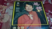 郭金發 [ 追情 ] 黑膠唱片附歌詞