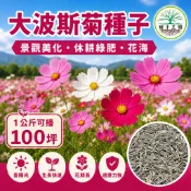 8H出貨⚡大波斯菊種子【花海種子】混合色 新社花海同款 1公斤裝 休耕綠肥 景觀美化 增加土壤肥力 新鮮種子 高發芽率