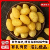 【商城推薦🚀好物】【無干燥劑】九制黃金橄欖甘草橄欖果脯清香蜜餞潮汕特產休閒零食【8號】