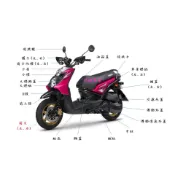 Bws'X原廠前叉(左.右)