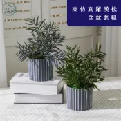 大好屋仿真花 仿真羅漢松 盆組 單支 含盆套組 人造葉子 假葉子 拍照道具 佈景 森林系 佈置 松樹