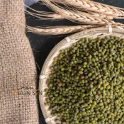 (店+)台灣品種～印尼栽種【淳歆】毛綠豆/Mung Bean 600g (超取限重5㎏)