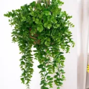 仿真藤條 仿真 尤加利葉 尤加利 藤蔓 壁掛 蕨類 蕨 假蕨類 假植物 仿真植物 金錢葉 仿真花 仿真葉 假葉子