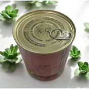 地球牌天下第一辣油 (鐵罐) 600g 辣椒油素食 辣椒醬 辣椒仔油 香辣油 麵店小吃店 臭臭鍋辣醬 調味料(蝶衣旗艦館