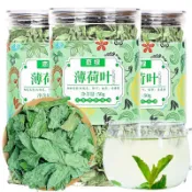 hannamichan罐裝戀綠干薄荷葉茶新鮮薄荷茶天然食用清涼茶清新口氣夏季花茶