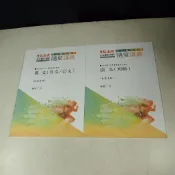 【考試院二手書】《志光超級函授 108高普 特考總複習專用 國文（公文/作文.測驗）隨堂講義》林嵩│八成新(21D13)