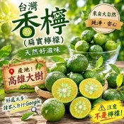 限時 台灣香檬產地大樹自產 3斤120