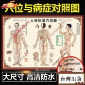 熱賣✨人體穴位圖 大掛圖 中醫養生十二經絡穴位 男性針灸艾灸穴位圖