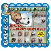【儂儂轉蛋屋】『現貨扭蛋』寫實動物大頭磁鐵~單賣獅子 (ko.40)