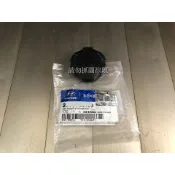 現代 I30 IX35 GETZ MATRIX ELANTRA TUCSON SANTAFE 副水箱蓋子 備水桶蓋
