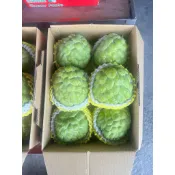 釋小農大目釋迦 特大果5粒 手提禮盒裝