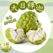 【產地直送】台東優質大目釋迦小果10斤x1箱(13-14顆/箱)