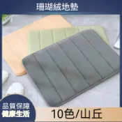 【山丘批發】地毯 短毛地墊 地毯  防滑墊腳踏墊 浴室腳踏墊 吸水地墊 臥室地墊 記憶棉吸水地墊 防滑吸水