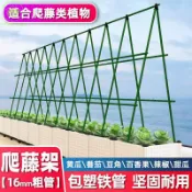 威吉優品 花架 藤蔓植物攀爬架 陽臺花架 種植箱爬藤支架 爬藤架 棚架 爬藤桿 盆栽架 溫室棚架 園藝 拱門花架 爬藤 園藝花架 葡萄