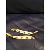 蝶豆花豆莢 （複瓣）優惠價每莢3元  體驗剝種子的樂趣  好種易活 剝種子時特別舒壓療鬱喔