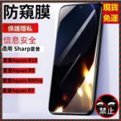 頂級鑽石防窺玻璃貼 保護隱私 Sharp夏普Aquos R10 R9 R8 Pro R7 R8SPro R6 熒幕保護貼