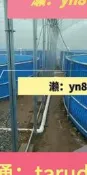 免運☑️帆布魚池大型商用魚池加厚防水防曬刀刮布水池篷布蓄水池