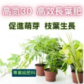 【花園城堡】速效肥 高氮30即溶複合肥料(30-5-12) 5公克 養葉肥 促進萌芽 枝葉生長 植物生長期 色濃綠 幼苗