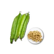 (店+)【蔬菜之家】00E22大包裝.青脆翼豆種子50克約120顆楊桃豆蔓性一年生開藍白或紫色花每花