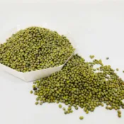 【良美商行】毛綠豆 粉綠豆 300g 600g 綠豆湯 綠豆