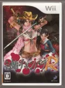 Wii 二手品 原版片   日版日文  性感女劍士