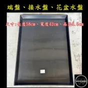 水模型園藝#大水盤58*42*3.5 端盤 水盤 接水盤 方型水盤 穴盤 底盤 托盤 (大部分尺寸端盤&穴盤可適用)