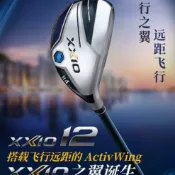 聚寶盆萬貨行 【店家補貼】XXIO/XX10 高爾夫球桿男士 高爾夫鐵木桿golf小雞腿 mp1200混合桿