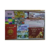 (店+) D166 護照 存摺 支票 旅遊 附封條 金紙 紙藝 紙紮 紙衣 祭拜用品往生用品