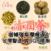 【現貨】清潤茶 養生茶 茶包 茶葉 保護嗓子 魚腥草茶 羅漢果茶  清新空氣 灰塵 霧霾天氣 薄荷 甘草
