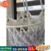 全場免運純手工貓咪吊床窩成品盪鞦韆編織貓窩寵物吊籃窩懸掛窗戶網兜壁掛sam09