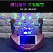 滿300出貨bk SDRD 308 貓頭鷹 雙人伴唱 藍牙麥克風 家庭KTV 一鍵消音 卡拉OK 會議 派對 活動 喇叭