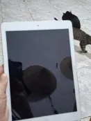 Apple iPad Air （A1475)， 不充電,不開機,螢幕破 商品如圖如敘述 零件機販售,售出不退