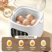 🍕桃園出貨🍕配件定製家用煮蛋器多功能早餐蒸蛋器迷你蛋羹煮蛋神