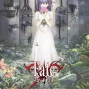 ✨臺灣發貨✨情書桌遊合集版:聖盃戰爭 Fate stay night 熱門卡牌休閒聚會遊戲