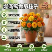 【現貨🌼萬壽菊種子】隔日達 芳香萬壽菊 驅蚊 四季開花 陽台盆栽 室內盆栽 庭院花卉 易種好活 耐寒耐熱 耐旱