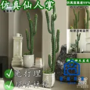 蒙麗百貨 免運 可開發票 公司貨 【宅配免運】北歐裝飾植物 大型仿真植物 仙人掌 仙人柱 假盆栽 仿真綠植 超擬真植物 室內設計 裝潢設計工廠現貨直銷 可大量採購 店長新品推薦 m6M8261