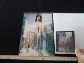 ◎貓頭鷹尋星窩◎PBOX02-012林志玲服飾4*6照片(正片沖洗)+彩色正片底片各1張(不分售)