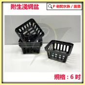 P老闆園藝~6吋 8吋 附生植物籃 蕨類盆 附生淺網盆 鹿角蕨盆 蘭花盆 附生植物盆 著生植物盆 鹿角蕨 空氣鳳梨