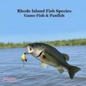 【三民網路書店】Rhode Island Game Fish and Panfish Species Kids Book: Great Book About the Different Types of Fish in Rhode Island 作者：Kinsey Marie