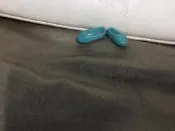 高質感娃娃鞋～302～芭比可穿