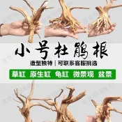 【寶寶環球海釣】沉木柚木杜鵑根棲根魚缸造景天然樹根曬臺擺件水族裝飾樹樁木頭
