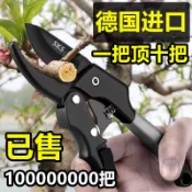 🔥臺灣出貨🔥德國進口省力修枝剪果樹枝強力粗枝剪刀家用剪葡萄枝盆栽花枝剪刀