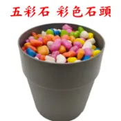 【景賢園】N820 五彩石 彩色石頭 好運石 500g 彩石 油彩石 魚缸底砂 水族鋪缸 多肉 盆栽鋪面 園藝造景