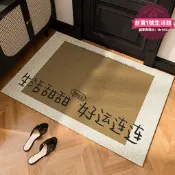 【可開統編】入戶門地墊門外絲圈防滑腳墊大門口進門耐髒門墊家用室內入戶地毯
