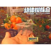【台灣現貨秒發】蜘蛛飼養箱盒 小方盒 洞穴 造景  爬蟲飼養盒 活體塑膠盒 小型寵物爬缸 蠍子 樹蛙  蜈蚣 獨角仙